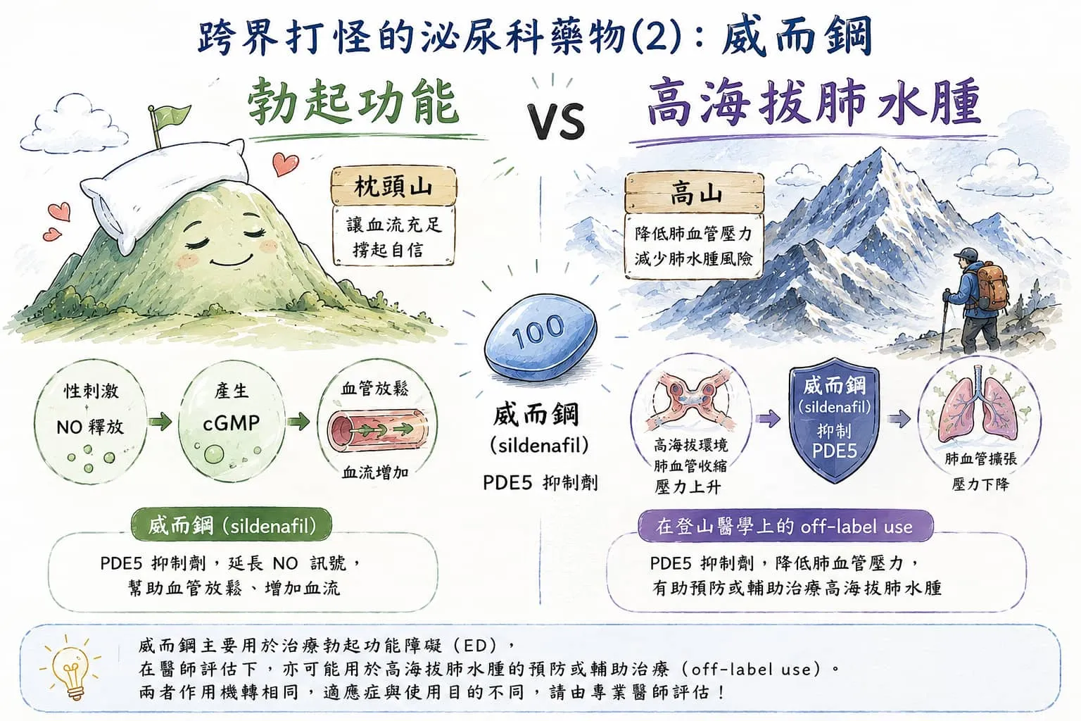 跨界打怪的泌尿科藥物(2)：威而鋼 vs 高海拔肺水腫